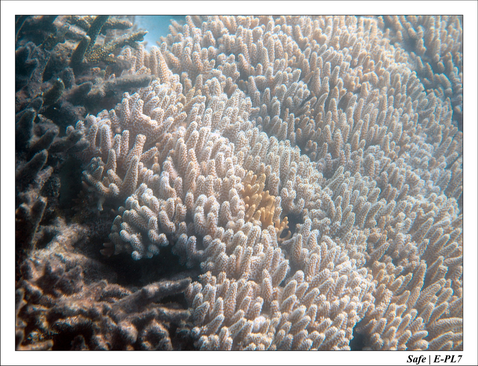 2018 - 08 - Pulau Tinggi - 12